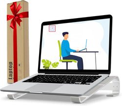 Laptop Stand for Desk, Ventilated Aluminum Laptop Riser, Silver