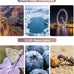 Phone Camera Lens Kit 2 in 1, 0.45X Wide Angle Lens+ 12.5X Macro Lens, Cell Phone Len Attachments Accessory for iPhone, for Samsung, for Android Smartphone