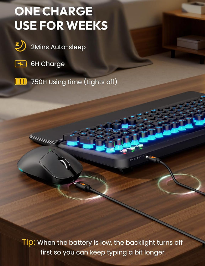 Wireless Keyboard and Mouse, Backlit Typewriter with Magnetic Wrist Rest