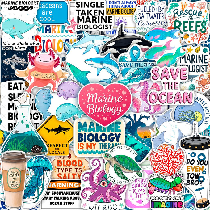 100Pcs Photography Stickers for Water Bottle and Laptop - Photography Party Supplies - Gifts for Photographer - Photo and Camera Stickers - Gift for Women & Men